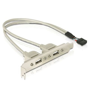 Delock 71000 1 x belső USB 10pin - 2 x USB2.0 külső slot konzol