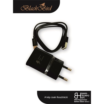 BH997 BlackBird Telefon gyorstöltő, Type-C kábel 1m - fekete