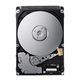 SEAGATE 2,5" SATA3 Spinpoint M8 Momentus 500GB/8MB - ST500LM012