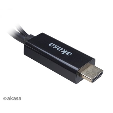 Akasa HDMI to DisplayPort Adapter cable