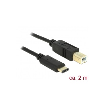 Delock 83330 USB C 2.0 dugó > USB 2.0 B dugó fekete - 2 m