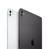 Apple 11-inch iPad Pro (M4) WiFi 512GB with Standard glass - Silver