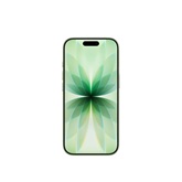 Apple iPhone 17 512GB Sage