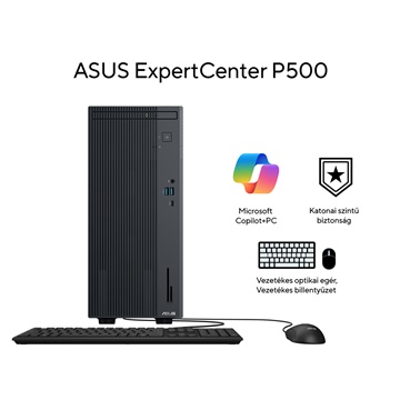 Asus ExpertCenter P500MV-13420H0870 - No OS - Gray