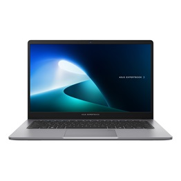 Asus Expertbook P1 P1503CVA-S73873 - No OS - Misty Grey