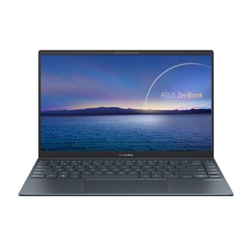 Asus ZenBook 14 UX425EA-HM040T - Windows® 10 - Pine Grey