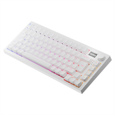 BIL AVAX GM02 PRO Fehér 75% Gasket RGB tri-mode mechanikus billentyűzet Gateron piros switch, magyar kiosztás