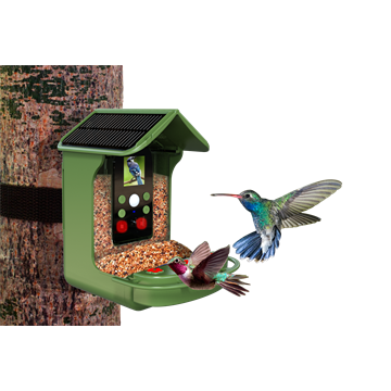 Denver BFC-1200 madáretető kamera