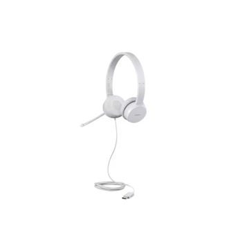 Lenovo 110 Stereo USB Headset