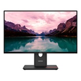 Lenovo 23,8" T24-40 monitor - 64A4MAT2EU -