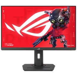 Asus 24.5
