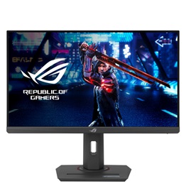 Asus 24.5