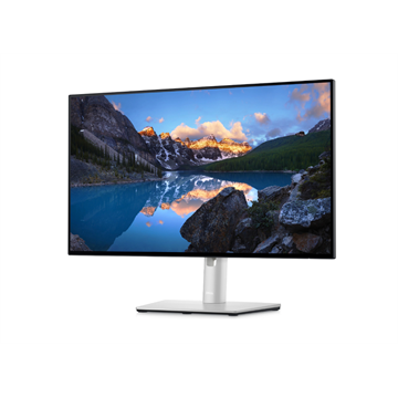Dell 23,8" U2422H monitor - IPS LED PIVOT