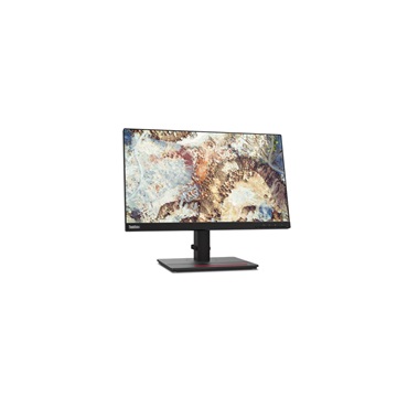 Lenovo 21,5" ThinkVision T22i-20 - IPS