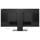 Lenovo 23,8" ThinkVision E24Q-20