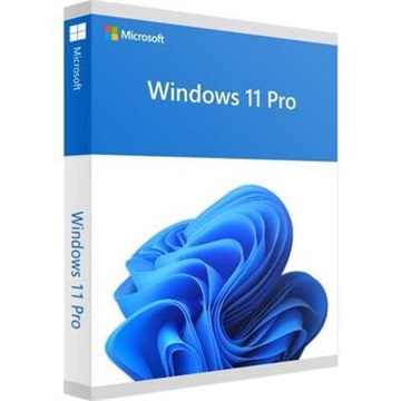 MS Windows 11 Pro 64bit Eng