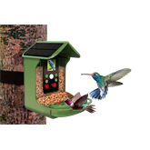 Denver BFC-1200 madáretető kamera