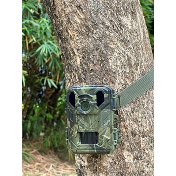 Denver WCS-5023 Digitális Vadvilági Kamera - mini